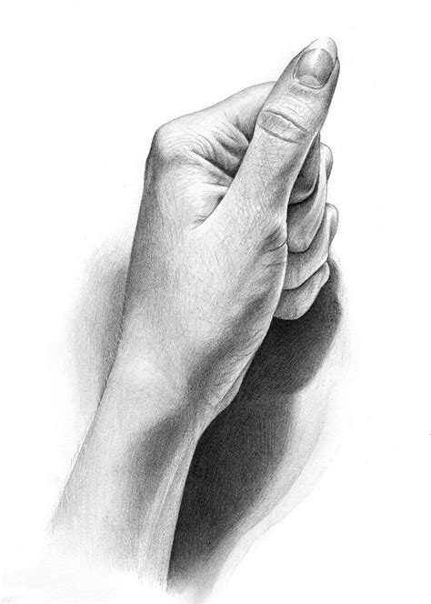 hand sketches | How to draw hands, Realistic drawings, Still life drawing