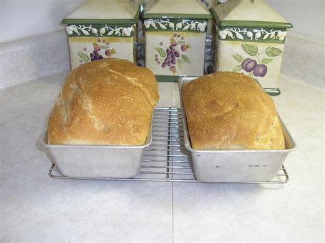 Rustic Sourdough Amish Friendship Bread