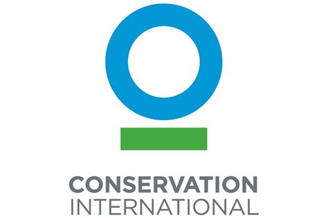 The Top 10 Wildlife Conservation Organizations