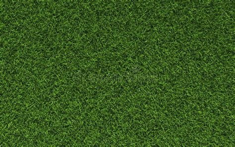 Grass Texture Royalty Free Stock Photography - Image: 14118217