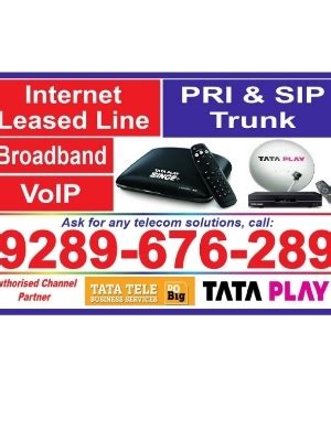 Tata Sky at Best Price in Noida, Uttar Pradesh | Okstel Networks