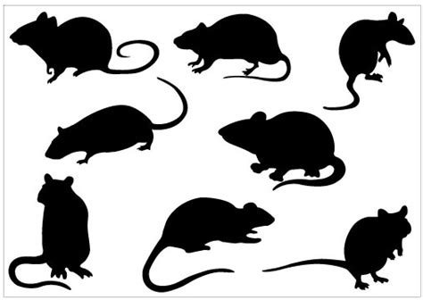 Rat Silhouette Clip Art - Cliparts.co