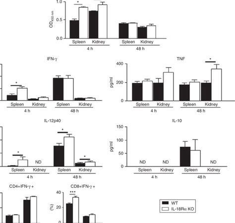 | Interleukin-18 receptor (IL-18R)a are potent inducers of ...