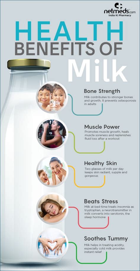 World Milk Day : 5 Incredible Benefits Of Milk - Infographic