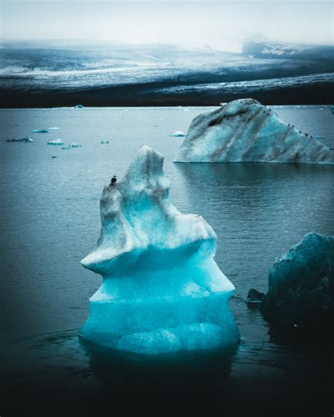 IG: ilyaivan0v — Seeing glaciers and icebergs for the first time...