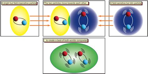 Couling of electron-hole-pairs [IMAGE] | EurekAlert! Science News Releases