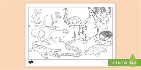 Coloring Pages Of Australian Animals