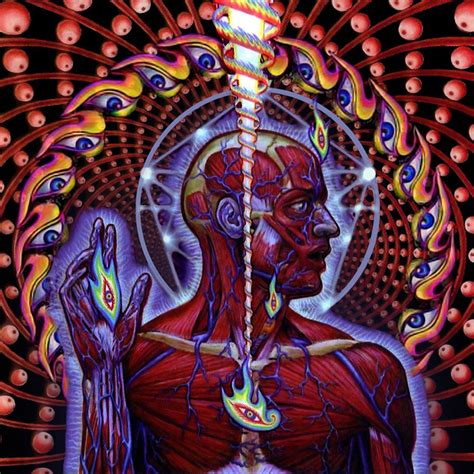 Tool - Lateralus by Alex Grey | Music and album covers I love ...