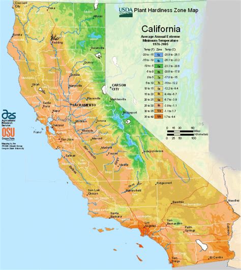 California Fruit Trees for Sale - Mehrabyan Nursery