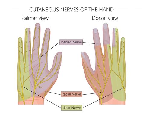 อาการมือชา เกิดจากอะไร พร้อมสัญญาณอันตรายที่ควรต้องรู้ | KDMS