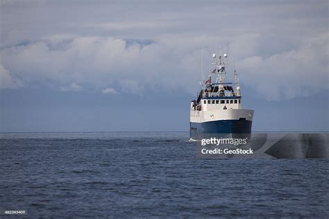 Fishing Trawler Returning To Port High-Res Stock Photo - Getty Images