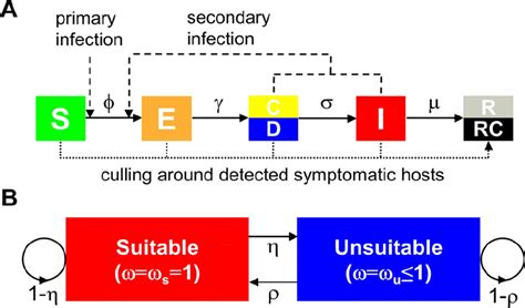 The epidemiological model. (a) Transitions between compartments ...