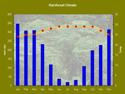 Rainforest Climate - Biomes