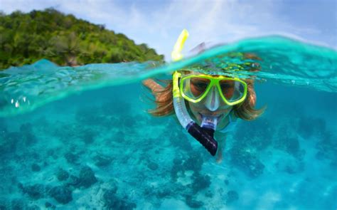 Snorkel Hiking Tour – Paradise Tours Puerto Rico