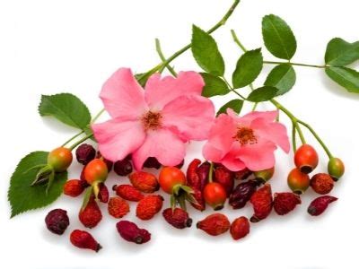 Rosehip Oil for Hair | 3 Ways to Use It for Maximum Growth