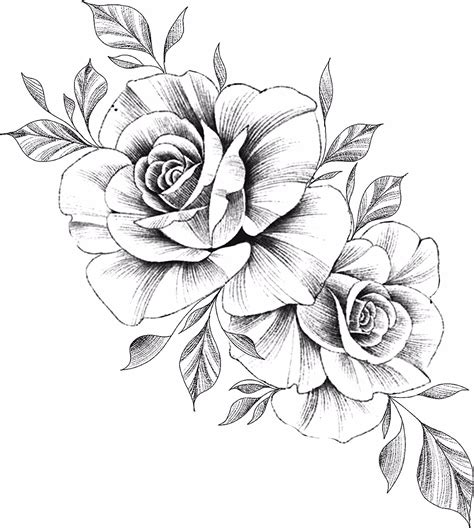 Pin by Claudia Kucewicz on rose drawings | Rose drawing tattoo, Tattoos ...