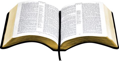 open bible PNG