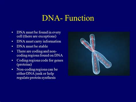 Dna Function