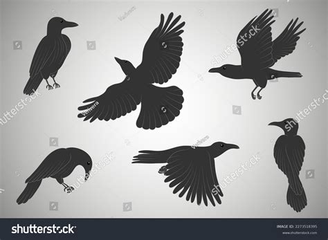 Black Ravens Set Crow Vector Art Stock Vector (Royalty Free) 2273518395 ...