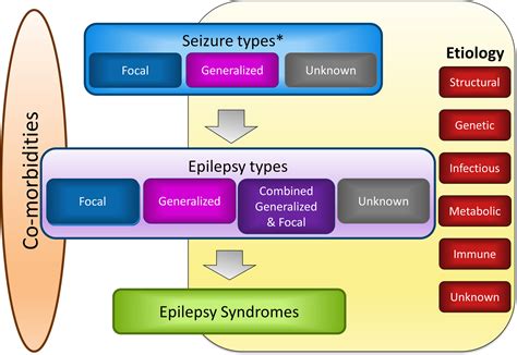 ILAE classification of the epilepsies: Position paper of the ILAE ...