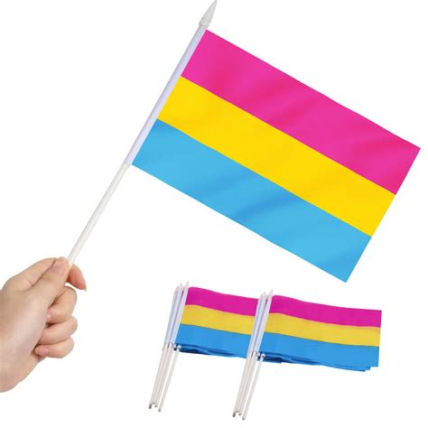 Pansexual Pride Stick Flag 5x8 Inch - Anley Flags