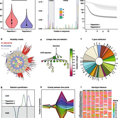 (PDF) Practical guidelines for B-cell receptor repertoire sequencing ...