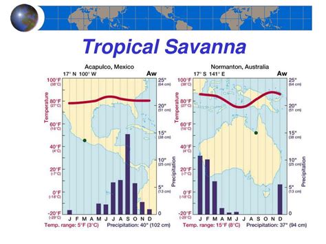 PPT - Chapter 8 Climatic Zones and Types PowerPoint Presentation - ID ...