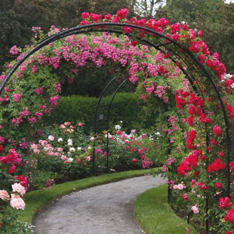 Garden Arch Trellis - Foter