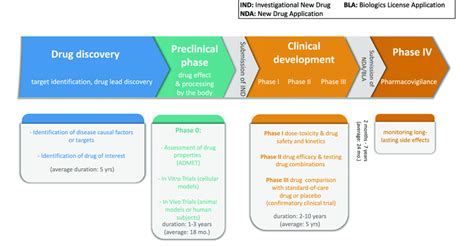 Stages Of Drug Development