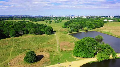 Richmond Park - Drone Footage - 4K - YouTube