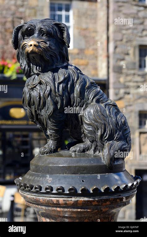 Statue of Greyfriars Bobby outside Greyfriars Bobby Public House ...