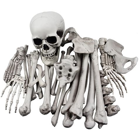 (3) 2 ft Halloween skull keys to your halloween decor!!! - munimoro.gob.pe