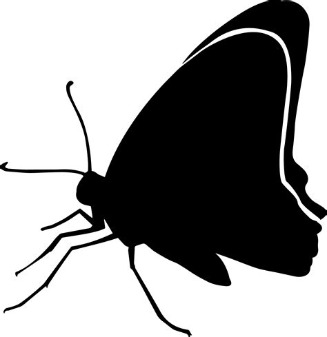 15 / Black Butterfly Clip art Silhouette Image - butterfly png ...