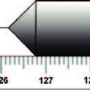 Measuring from a metre scale. | Download Scientific Diagram