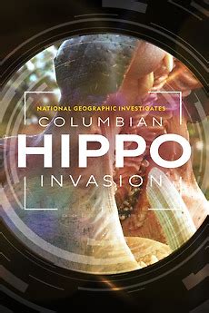 ‎National Geographic Investigates - Invaders: Colombia's Hippos (2023 ...