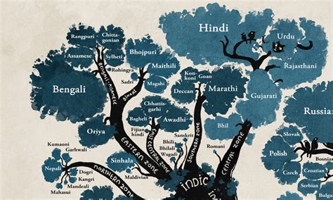 A language family tree - in pictures | Education | The Guardian