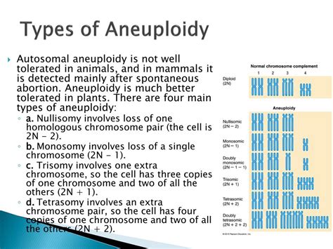 PPT - Chapter 16 Variations in Chromosome Structure and Number ...