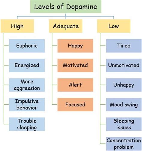 Difference Between Dopamine and Endorphins (with Comparison Chart ...