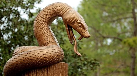 The Snake Pit at Innisbrook: Everything you need to know