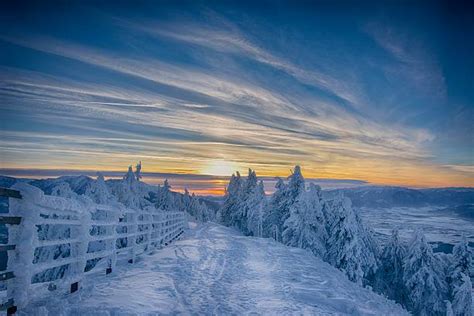 Best Siberia Winter Stock Photos, Pictures & Royalty-Free Images - iStock