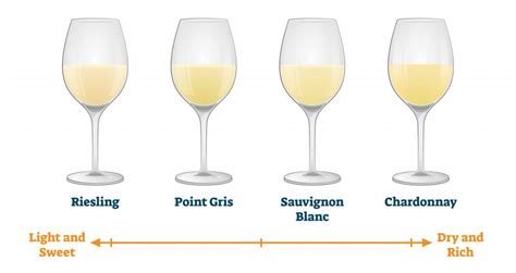 Discover the Different Types of White Wine - Beer & Wine Guide