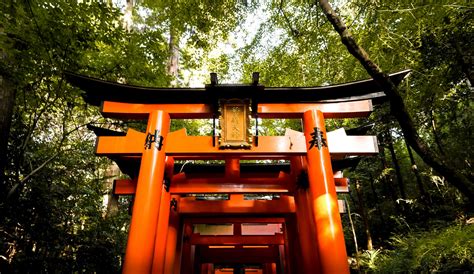 6 Coolest Shrines with Hundreds of Torii Gates in Japan