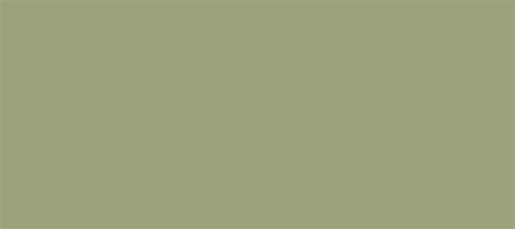 HEX color #9BA17B, Color name: Sage, RGB(155,161,123), Windows: 8102299 ...