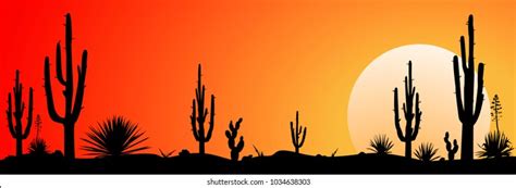 Sunset Mexican Desert Silhouettes Cacti Other Stock Vector (Royalty ...