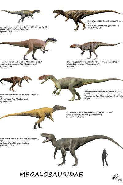 Megalosauridae by NTamura (print image) | Prehistoric animals ...