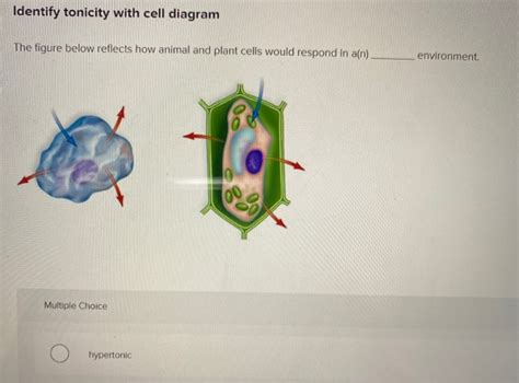 Solved Identify tonicity with cell diagram The figure below | Chegg.com