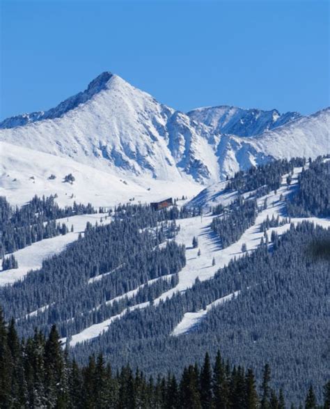 Guided Backcountry Skiing in Vail Pass, CO | 57hours