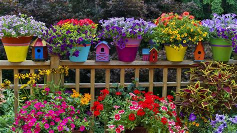 17 Most Colorful Garden Plants