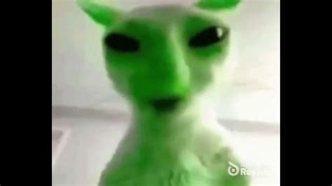 green alien cat says yaer aegh erya in 2024 | Aliens meme, Cat talk ...