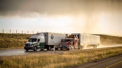 Slowing freight to hold down rate increases in 2019, but fleet ...